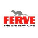 FERVE Testers & Battery Analysers