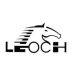 Leoch Batteries